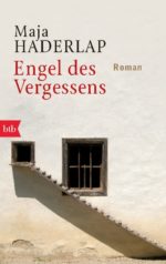 Engel des Vergessens Book Cover